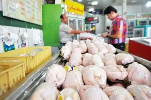 قیمت گوشت مرغ امروز شنبه ۱۷ خرداد ۱۴۰۴